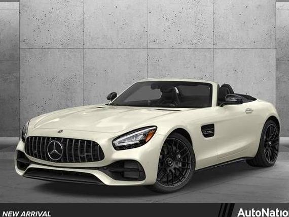 MERCEDES-BENZ AMG GT 2020 WDDYK8AA6LA027680 image